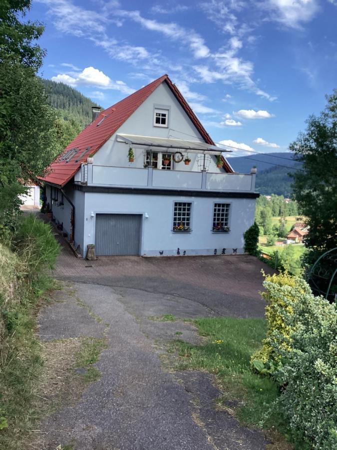 Obertal Altes Berghausアパートメント エクステリア 写真